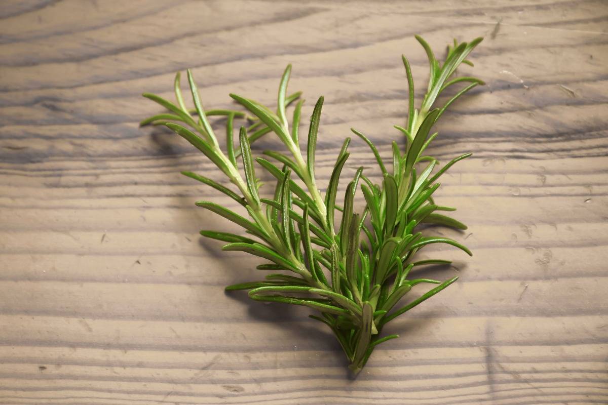 rosemary on a wooden table