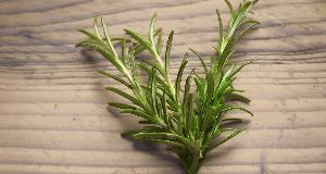 Romero: La Hierba Que Es Clave En Ciertos Remedios Caseros