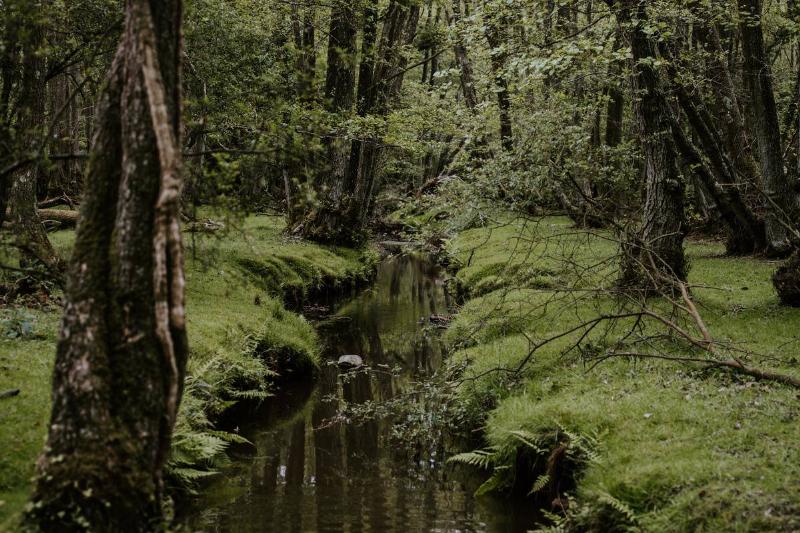 annie-spratt-9i94Fy3hR1w-unsplash