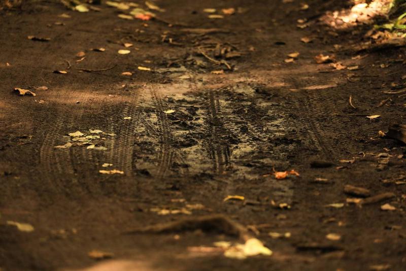 patrick-hendry-v_AfLVUE5Wk-unsplash