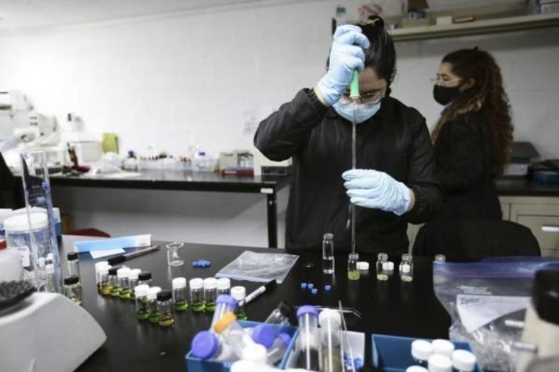 06 Intestinos 20 06 Intestinos 20