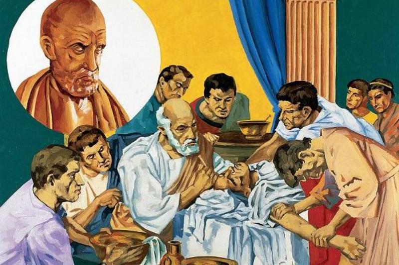 06 Intestinos 5 06 Intestinos 5