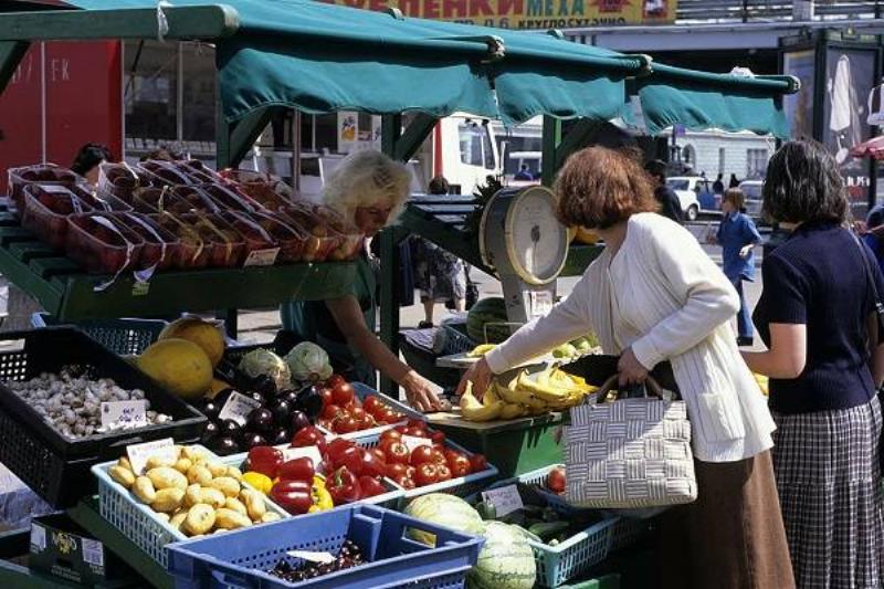 06 Intestinos 7 06 Intestinos 7