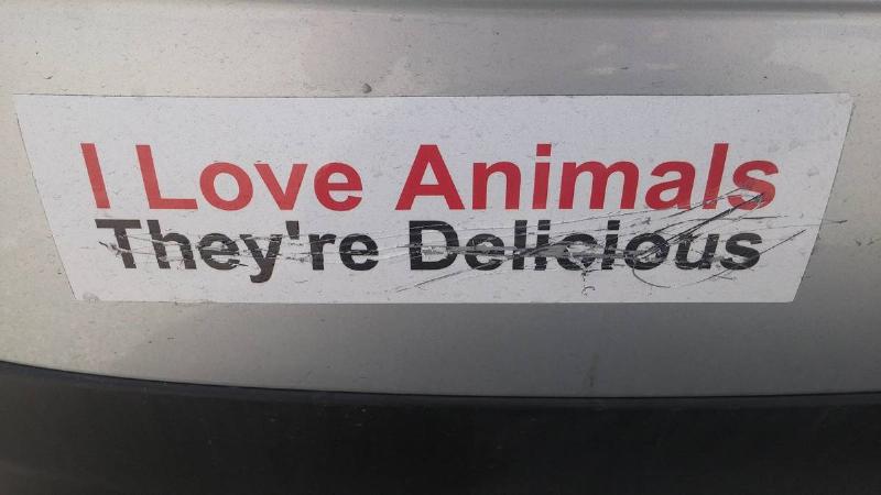 I Love Animals