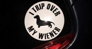 17+ Hysterical Bumper Stickers That Are Drawing Attention On The Roads