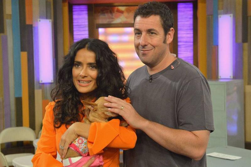 adam sandler and hayek in 2013