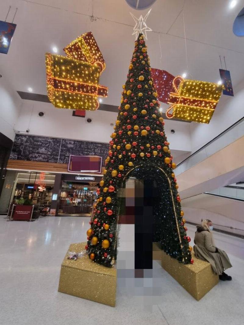 No Photos Woman sitting beside Christmas tree in mall.