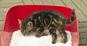 Don’t Get Ripped Off — These 35+ Overrated Household Items Aren’t Worth What They Cost