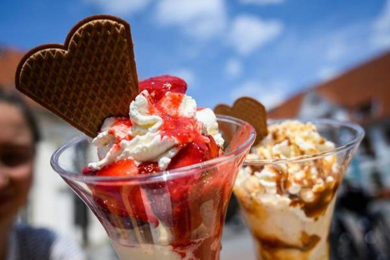 07 Traduc Fallas Higado 24