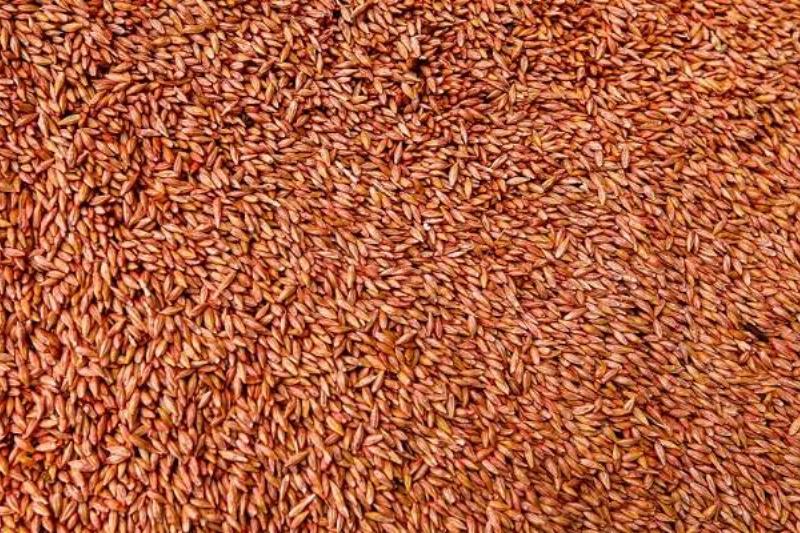 12 Renov Comidas Corazon 30 12 Renov Comidas Corazon 30