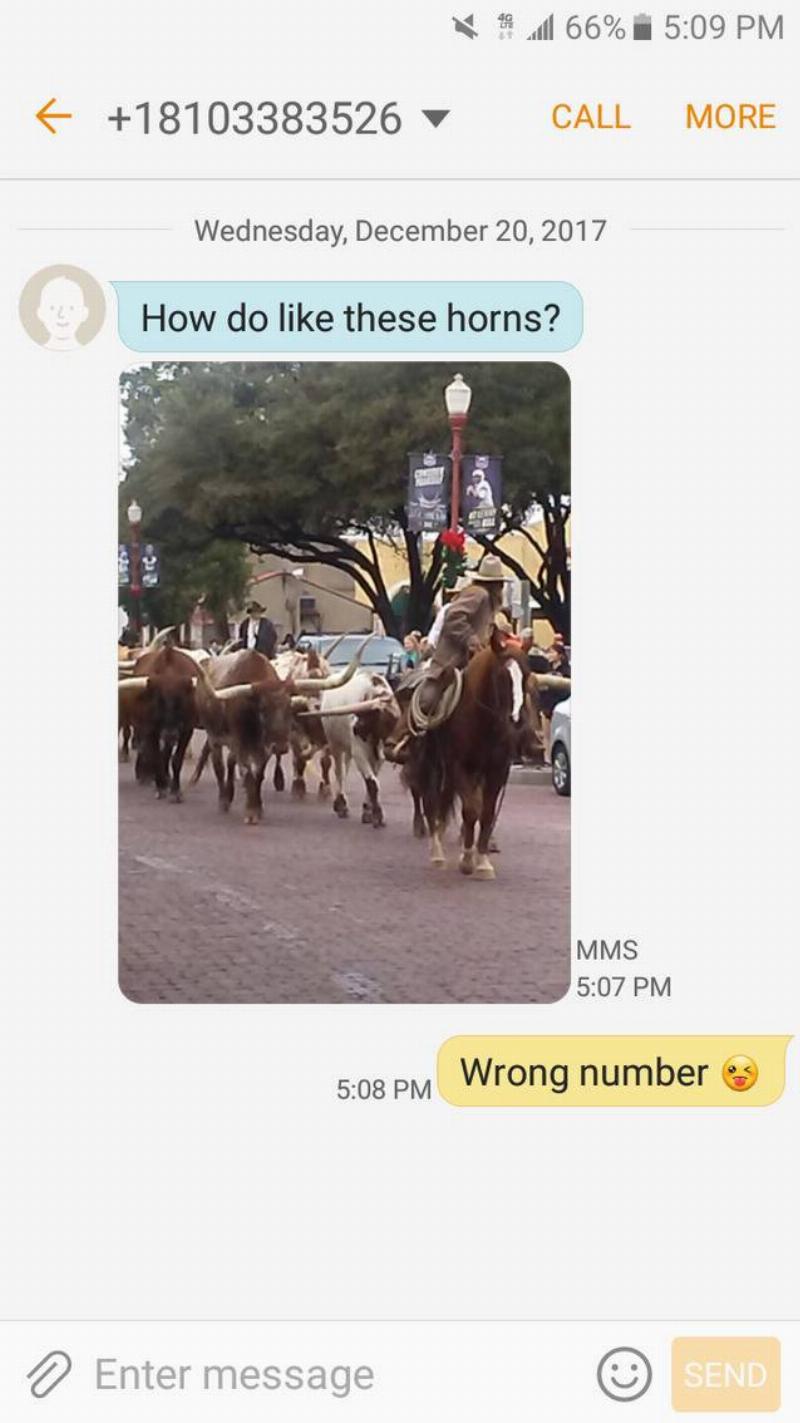 Horns Lover Bulls picture sent to wrong number