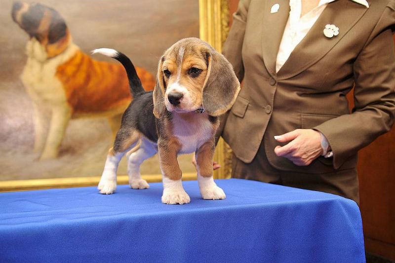 GettyImages-140127380
