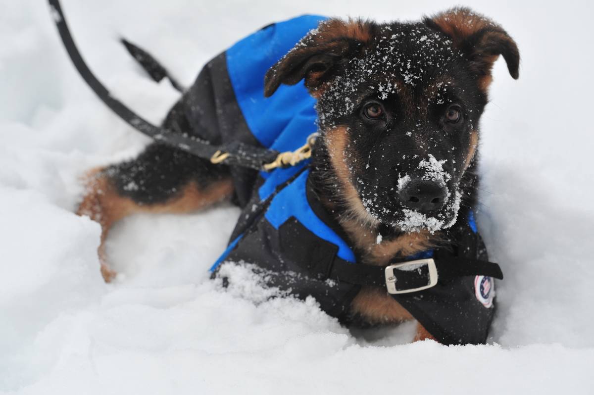 US-WEATHER-SNOW-METRO AREA