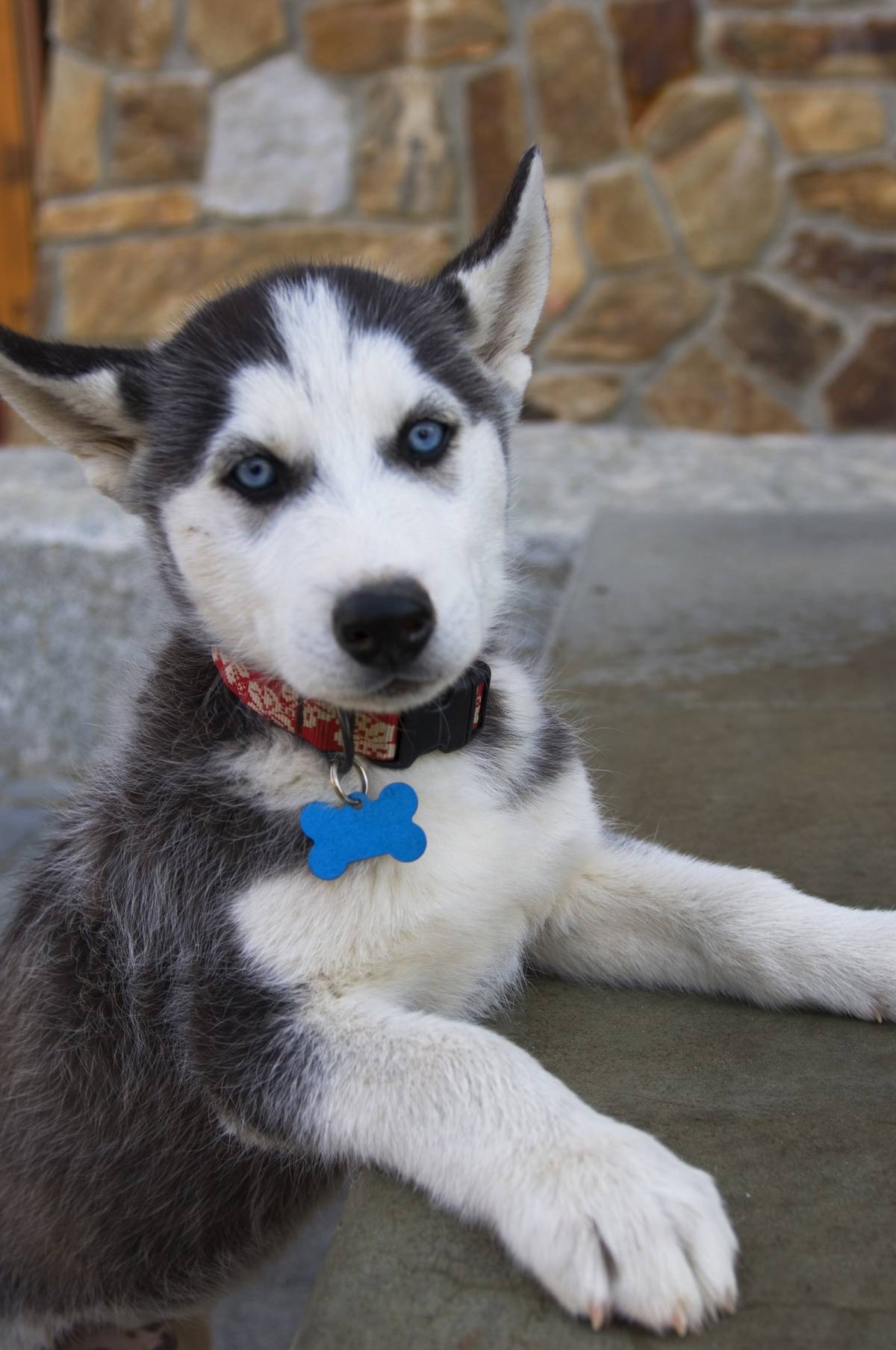 USA, Idaho, Near Sandpoint, Schweitzer Mountain Resort,...