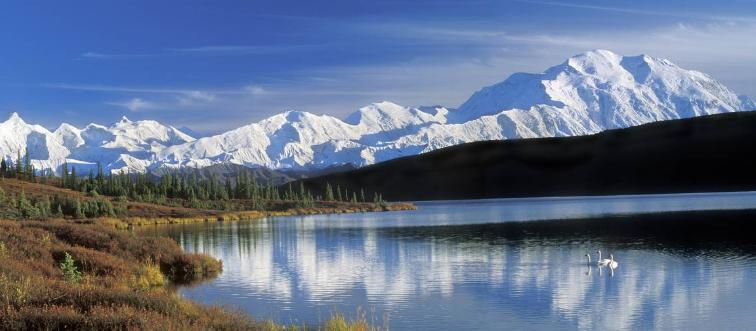 The Alaska Range with Mount McKinley (Denali) and Wonder Lake with Tundra swans in the fall.