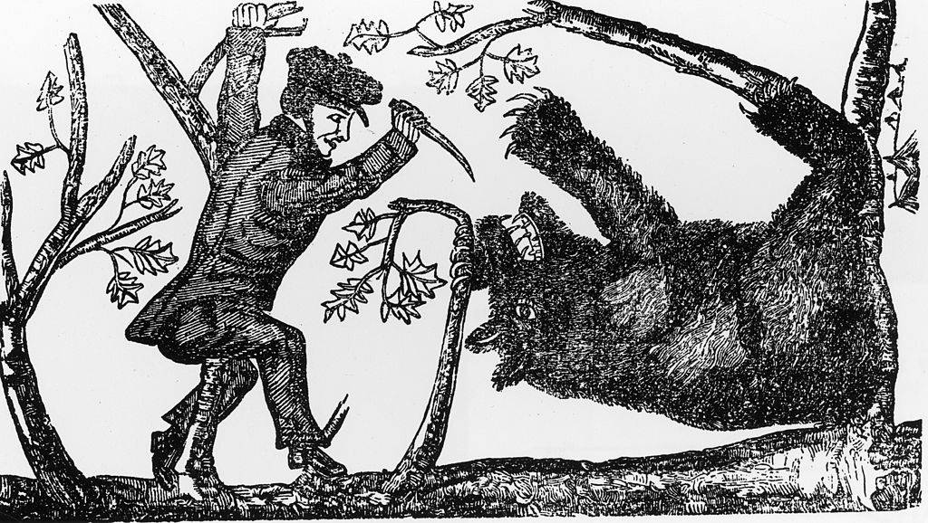 davy crockett killing a bear illustration