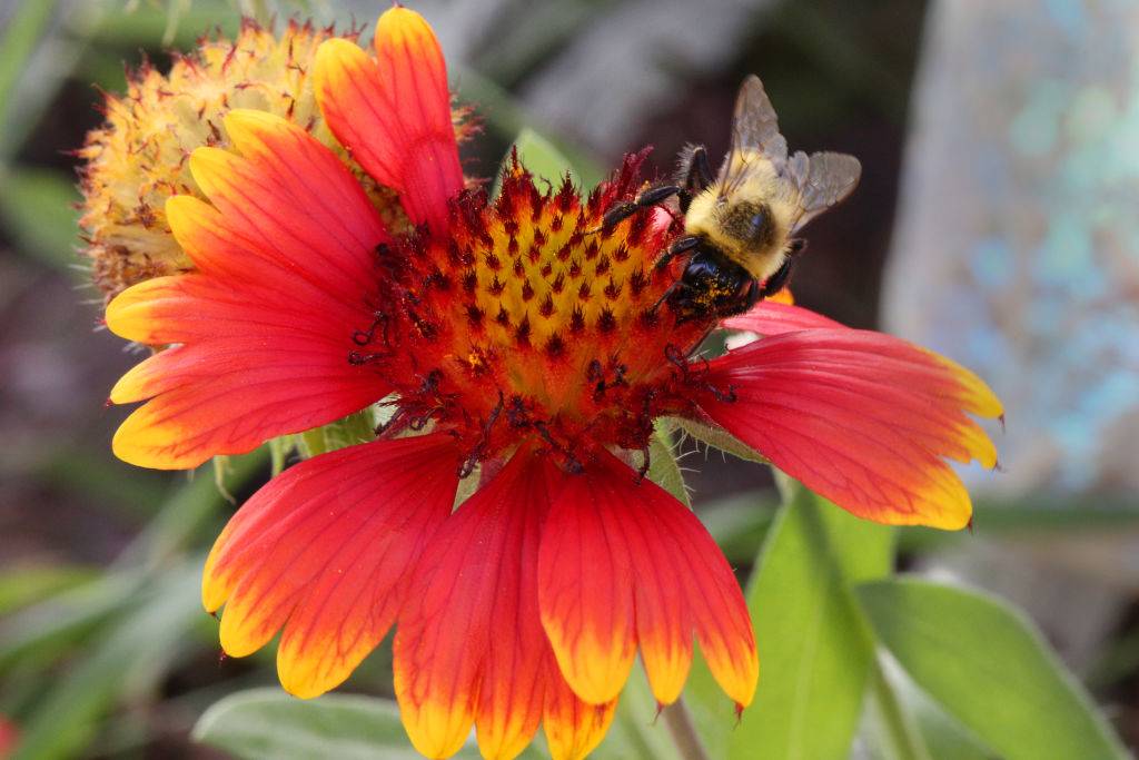 GettyImages-1235143614