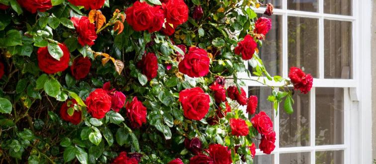 GettyImages-1263035305