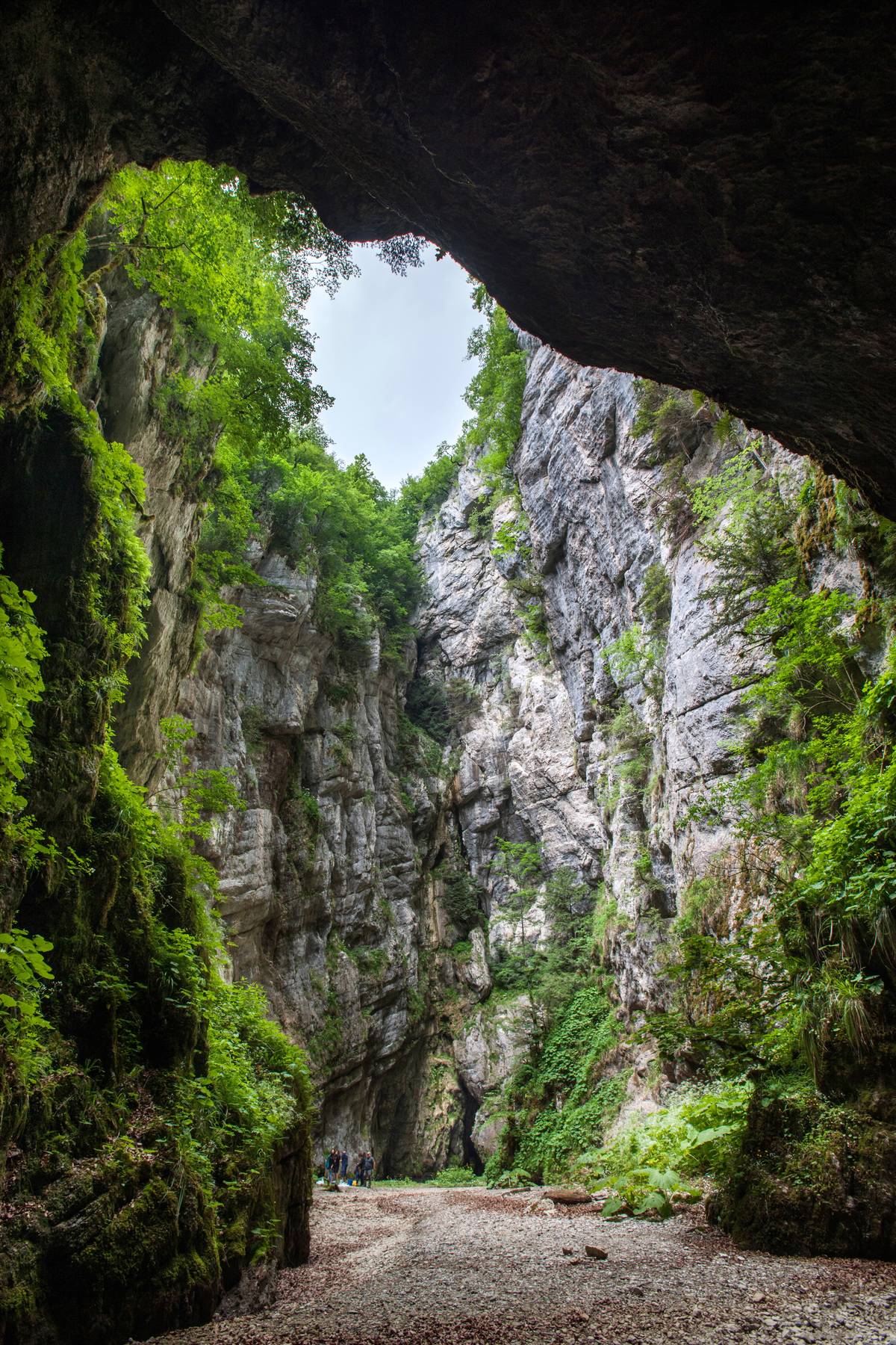 GettyImages-1314835194