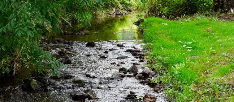 GettyImages-1341927804