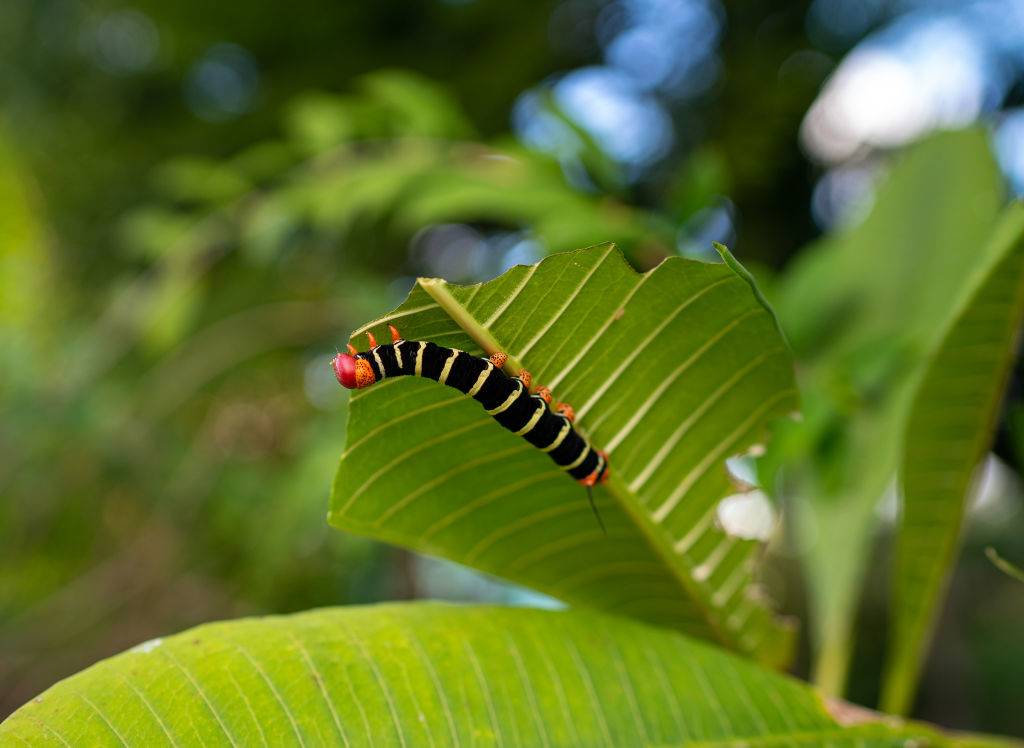 GettyImages-1368809717