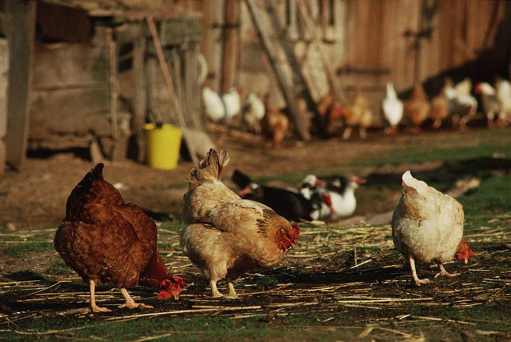 GettyImages-635752427