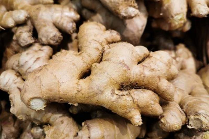 01 Comidas Sanas 15 01 Comidas Sanas 15