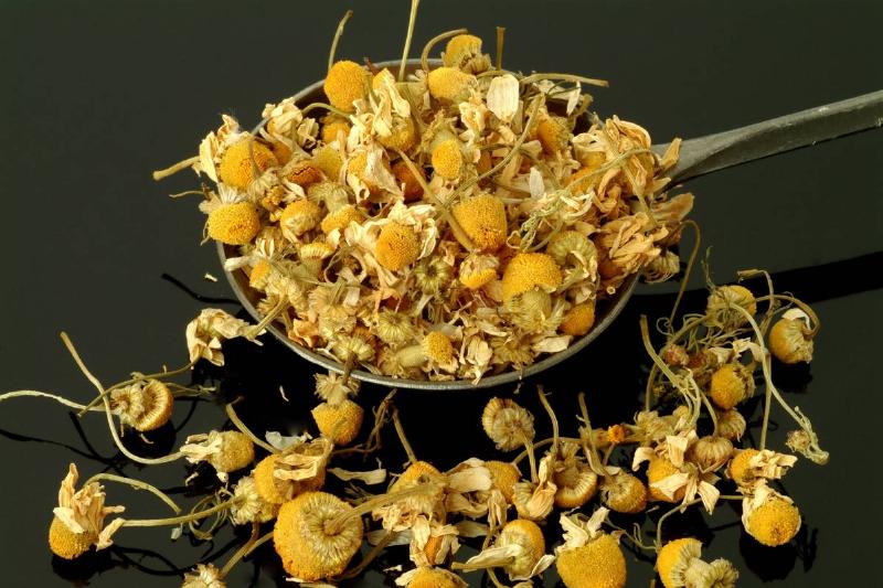 GettyImages-849817724 Medicinal Plant and Tea. Dried Blossoms Of Medicinal Plant. Matricaria Chamomilla