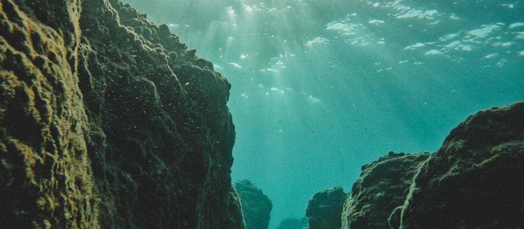 daniel-newman-loI3tzViw-E-unsplash