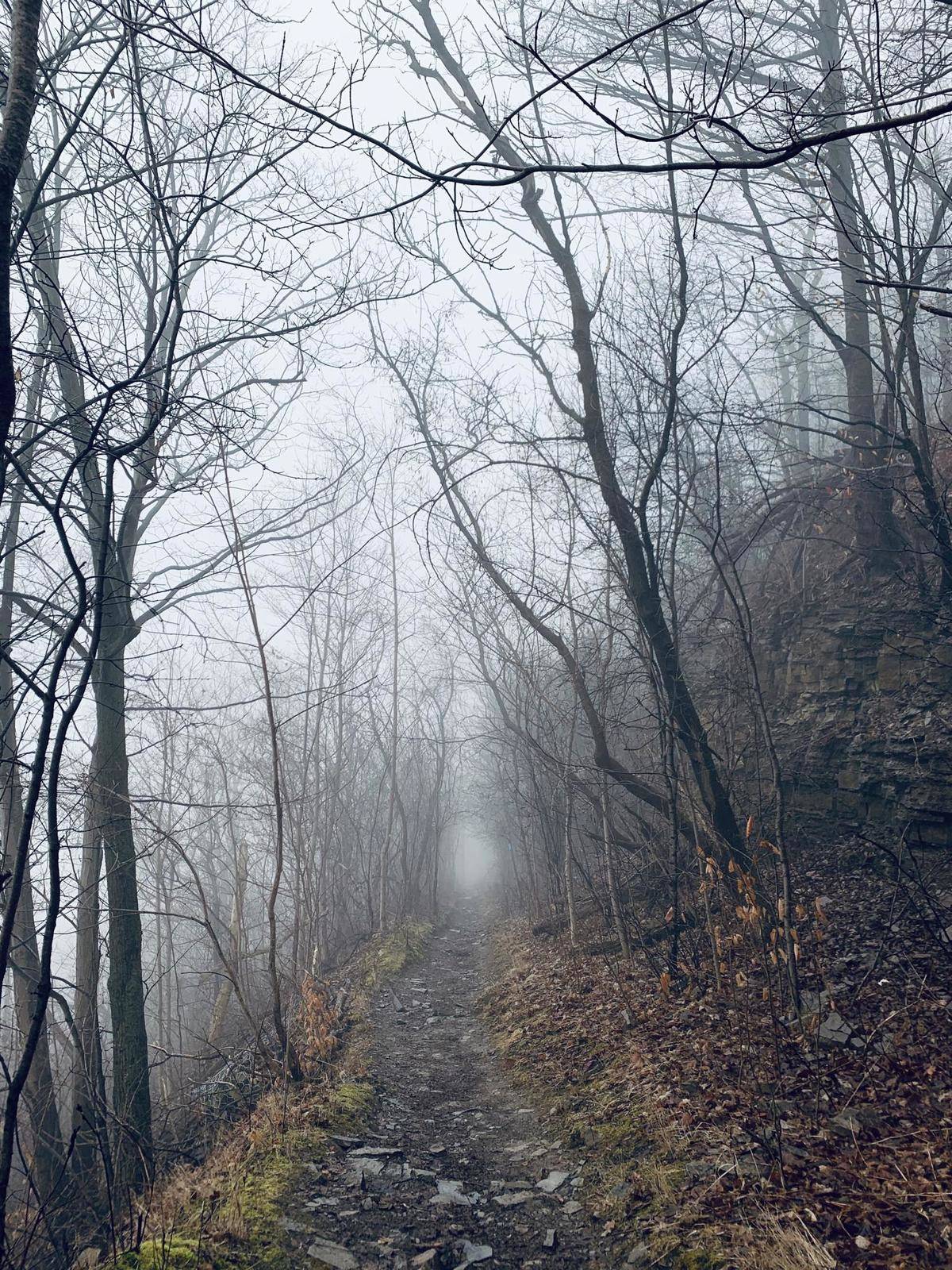dundas peak in the fog