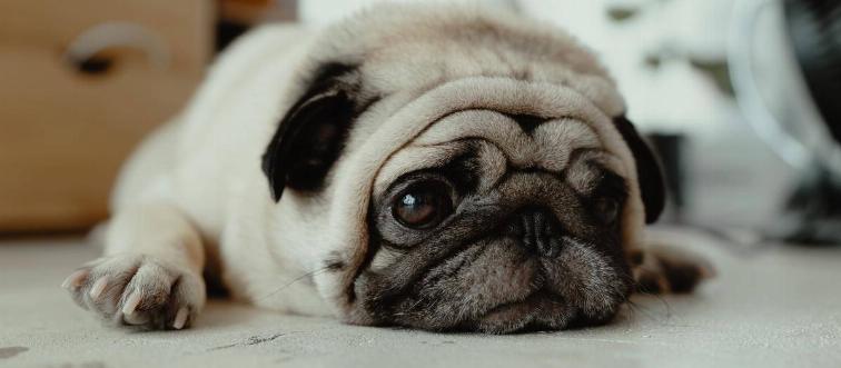 jc-gellidon-TPZNooS1Meg-unsplash