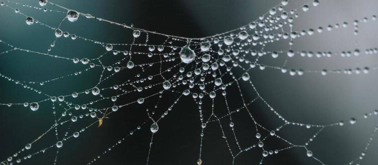 nathan-dumlao-kME9jbKd--s-unsplash