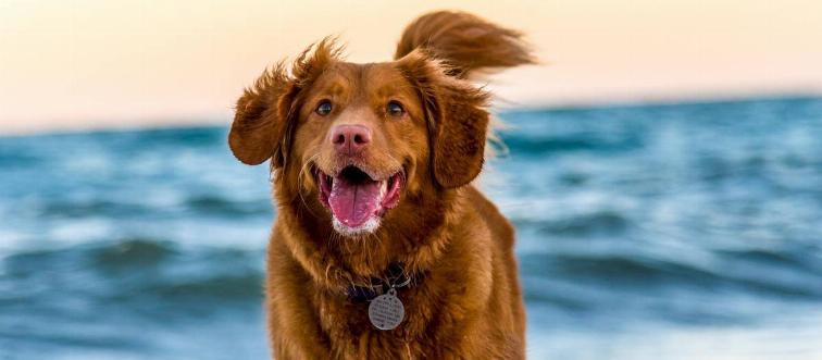 oscar-sutton-yihlaRCCvd4-unsplash