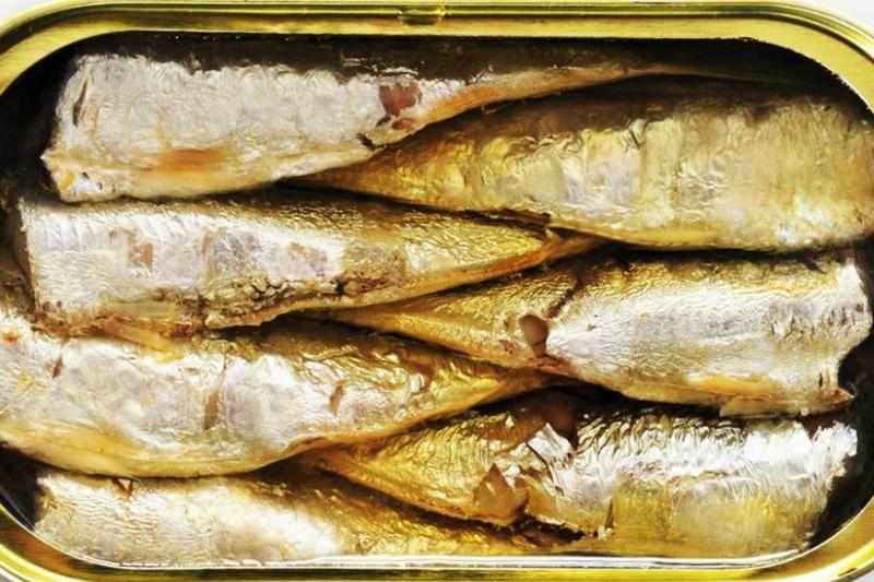 sardines in a can