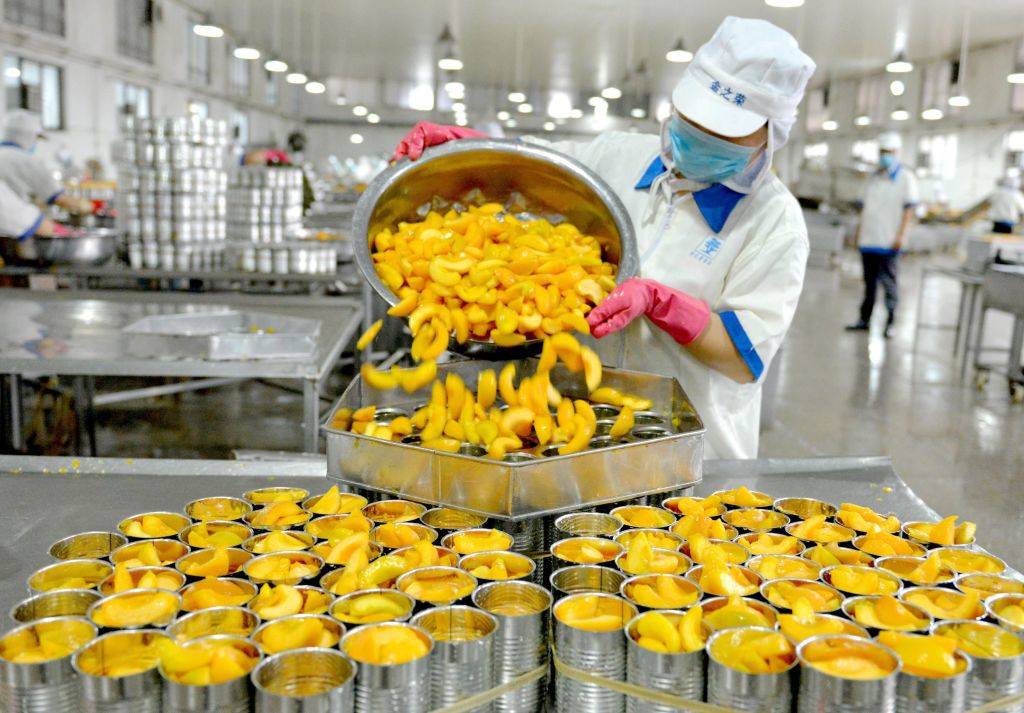 a worker sorting canned peaches for export at a factory