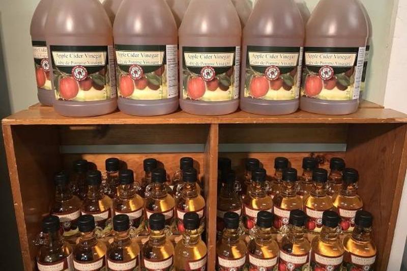 11 Renov Comidas Sanas 21 11 Renov Comidas Sanas 21