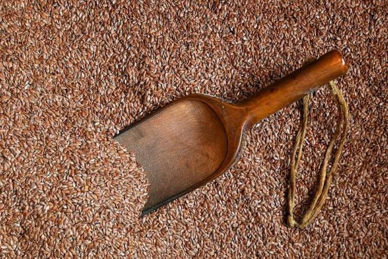 11 Renov Comidas Sanas 23 11 Renov Comidas Sanas 23