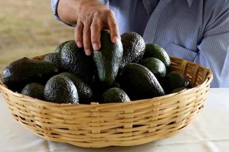 11 Renov Comidas Sanas 24 11 Renov Comidas Sanas 24