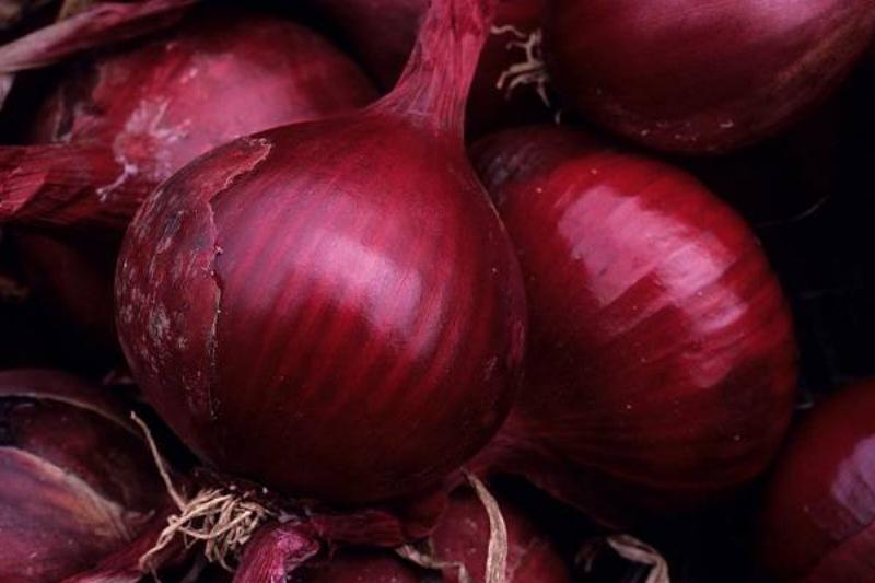 11 Renov Comidas Sanas 28 11 Renov Comidas Sanas 28