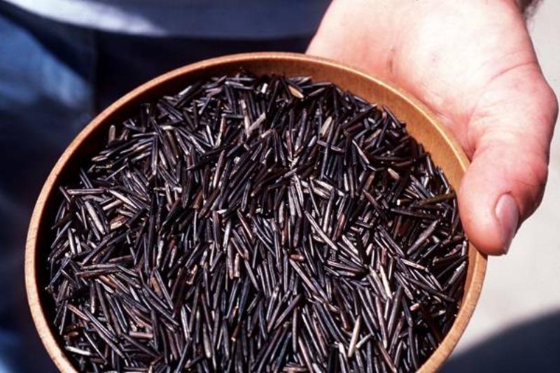 11 Renov Comidas Sanas 40 11 Renov Comidas Sanas 40