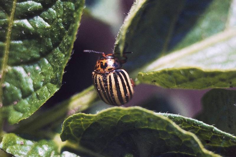 GettyImages-182128408