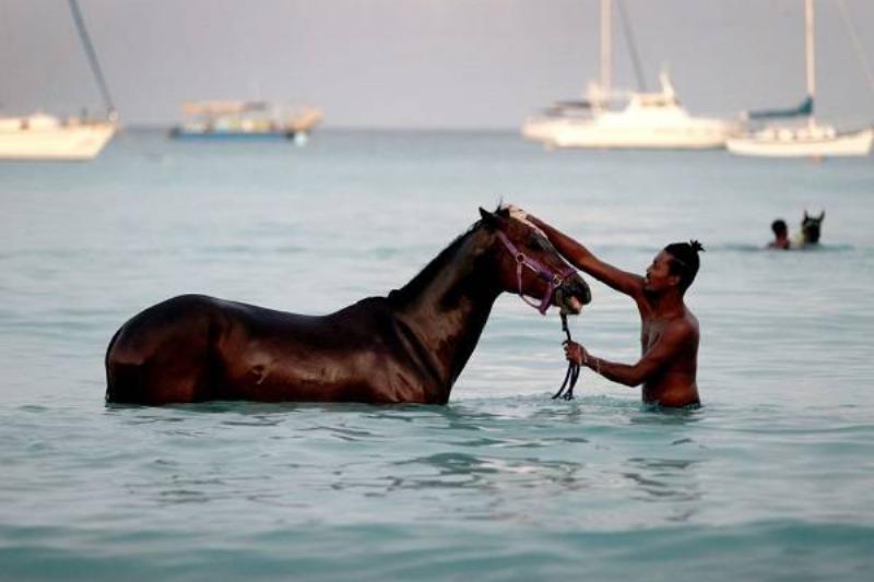 01 Agua Potable 30 01 Agua Potable 30