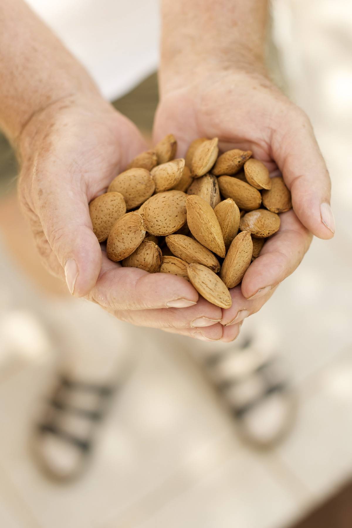 Almonds from the Tamas estate near Lake Balaton.