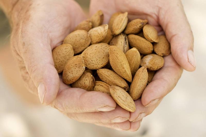 Almonds Almonds from the Tamas estate near Lake Balaton.