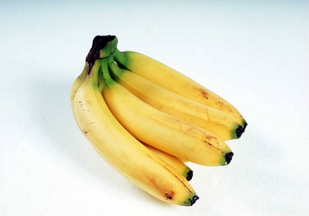 A bunch of ripe yellow Bananas