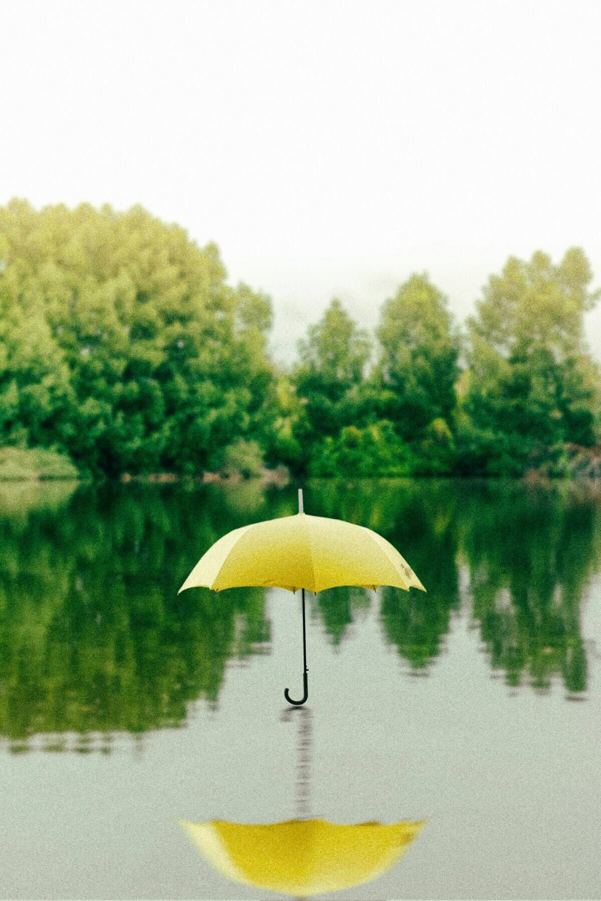 saffu-bmtg7lrCry4-unsplash