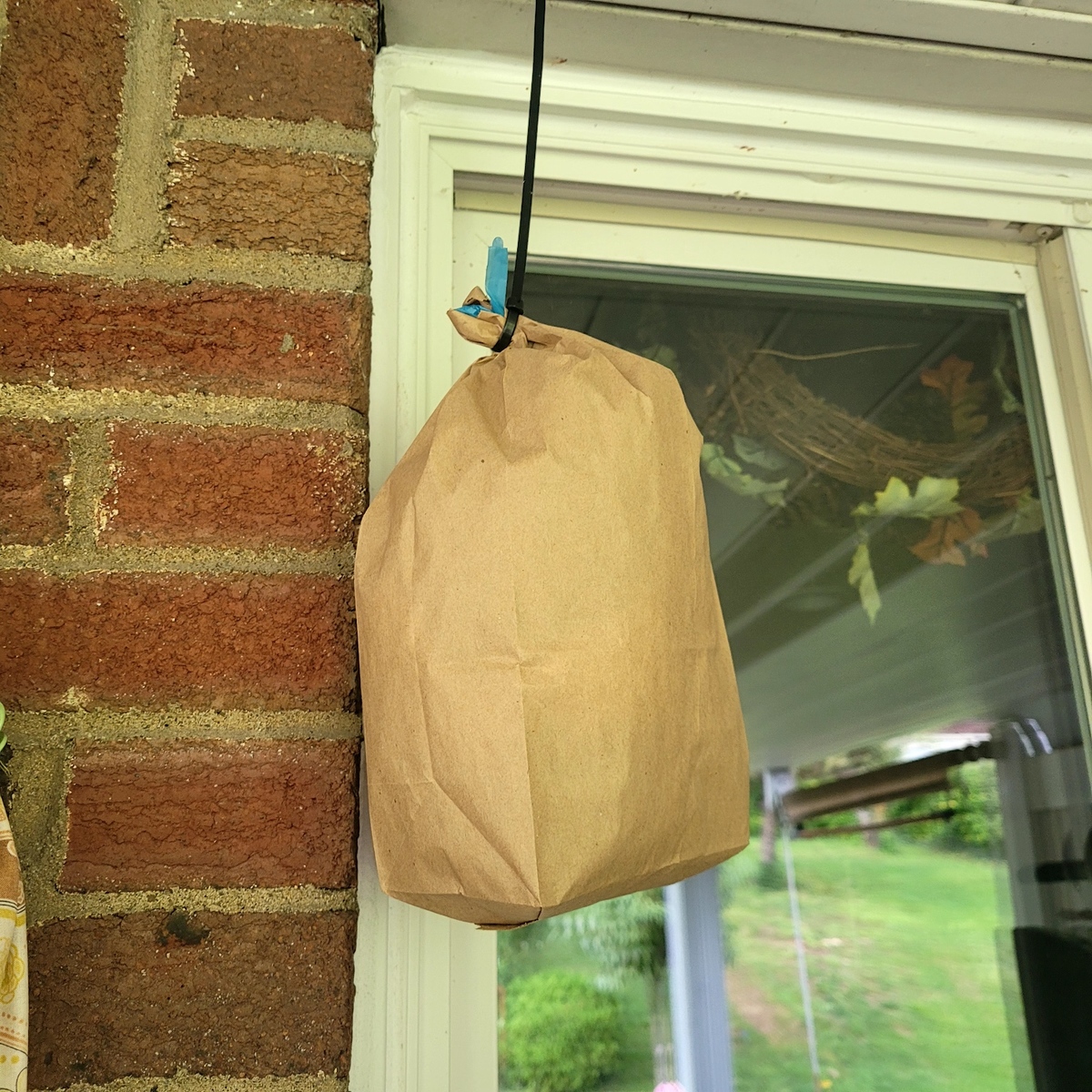 brown paper bag on string hanging outside door to deter wasps