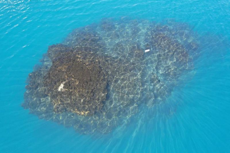 Microbialites: 'Fairy chimneys' of Lake Van