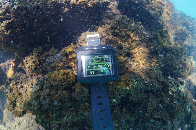 Microbialites: 'Fairy chimneys' of Lake Van