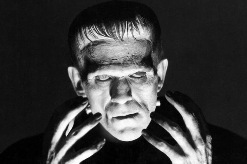 frankenstein_fb75fd0b frankenstein_fb75fd0b